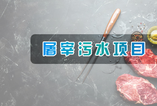 屠宰污水項(xiàng)目